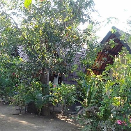Hello Lumbung Homestay Gili Air Exterior foto