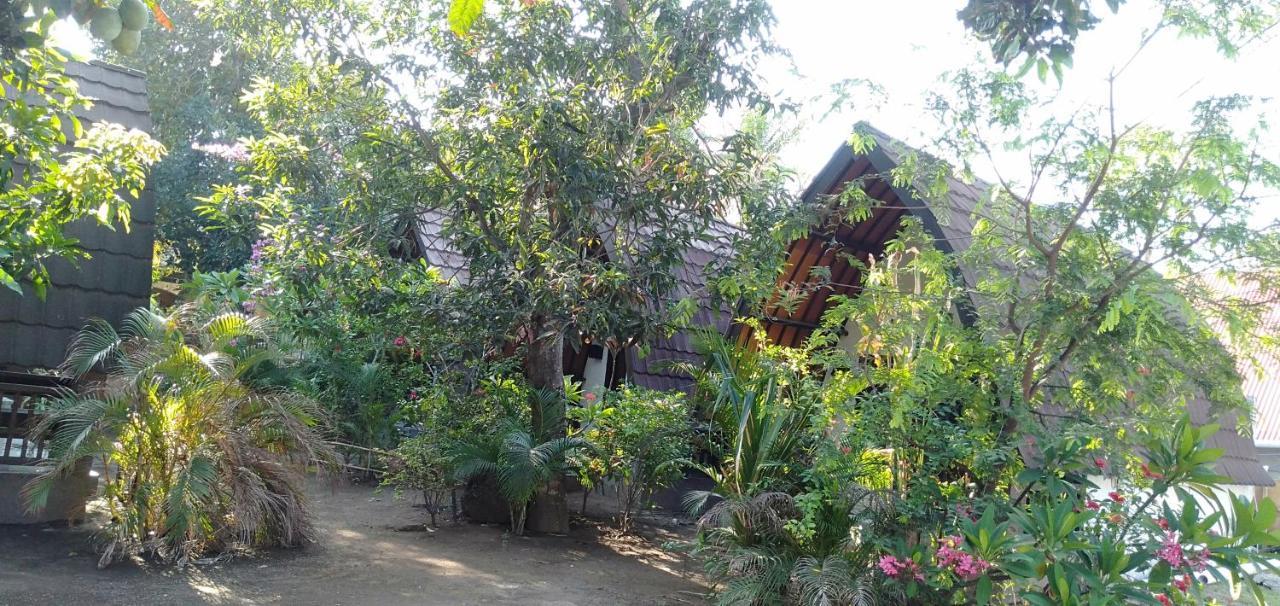 Hello Lumbung Homestay Gili Air Exterior foto